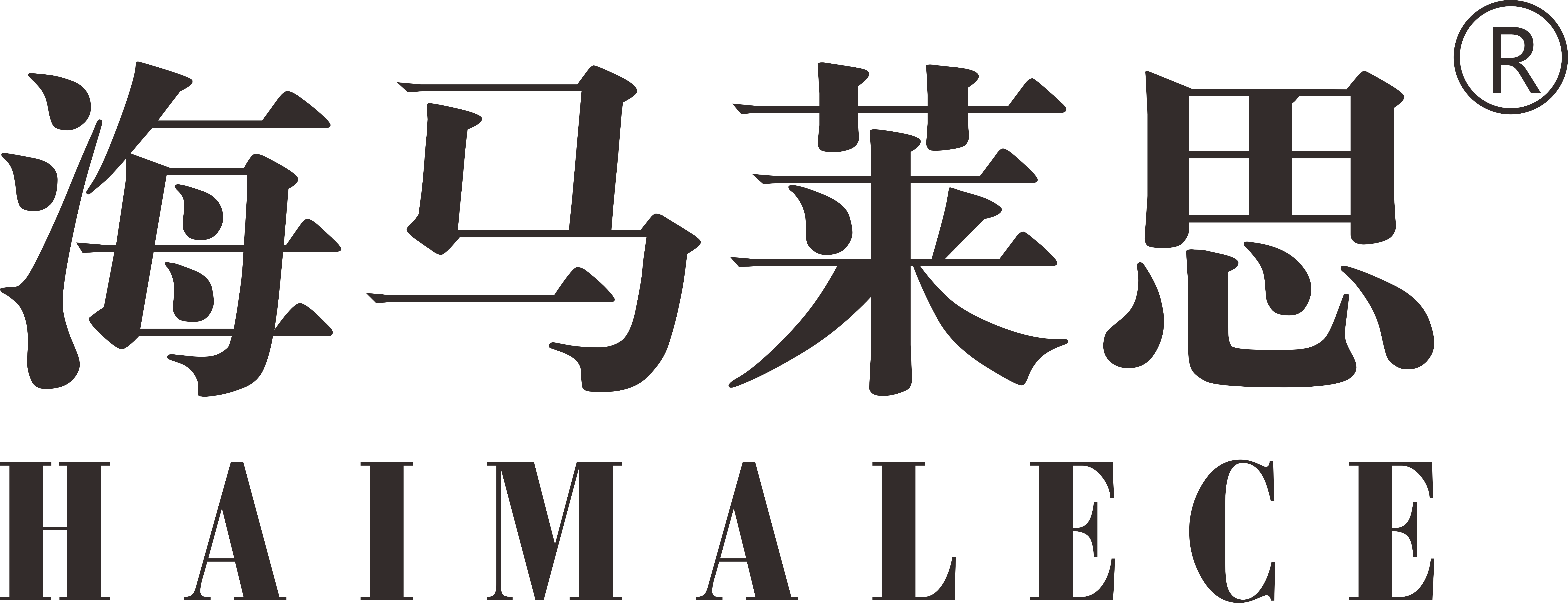 香港海马国际控股有限公司